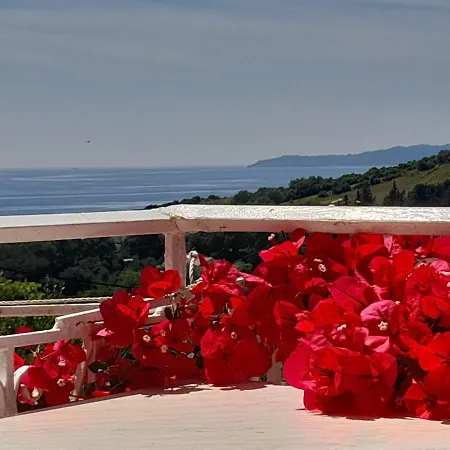 Angelos Apartment's *