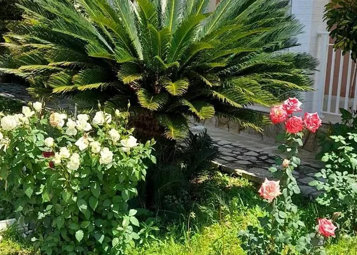 Apartman Angelos Aparts