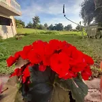 Angelos Aparts شقة أريلاز