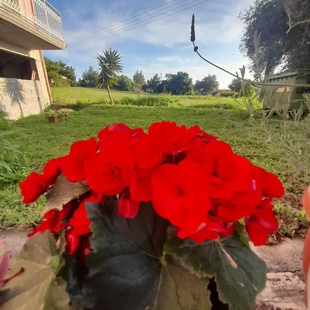 Angelos Apartment's Daire Arillas (Corfu)