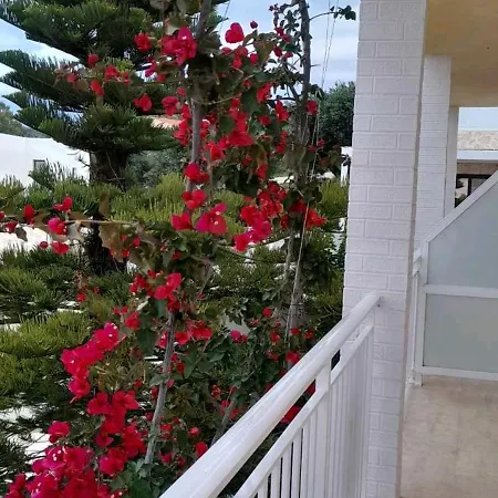 Angelos Apartment's Arillas (Corfu)